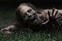 Walking_dead_zombie_main_200x400