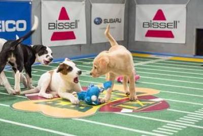 Puppy_bowl_ix_400x400