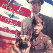 Chips_the_war_dog_241x208