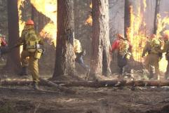 Firestorm_last_stand_at_yellowstone_241x208