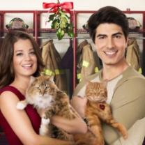 Nine_lives_of_christmas_the_241x208