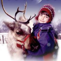 Prancer_returns_241x208