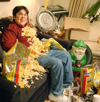 Andy_milonakis_show_241x208