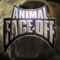 Animal_face_off_241x208