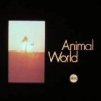 Animal_world_241x208