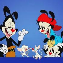 Animaniacs_2020_241x208