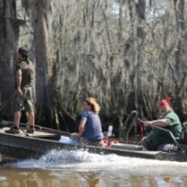 Beasts_of_the_bayou_241x208