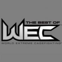 Best_of_wec_241x208