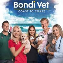 Bondi_vets_coast_to_coast_241x208