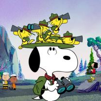 Camp_snoopy_241x208