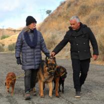 Cesar_millan_better_human_better_dog_241x208