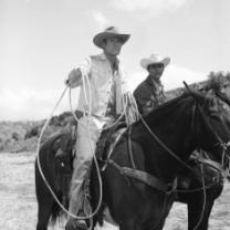 Cowboy_in_africa_241x208