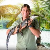 Crocodile_hunter_best_of_steve_irwin_241x208