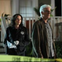 Csi_crime_scene_investigation_season_13_241x208