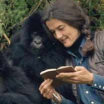 Dian_fossey_secrets_in_the_mist_241x208