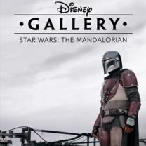 Disney_gallery_the_mandalorian_241x208