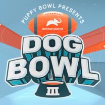 Dog_bowl_iii_241x208