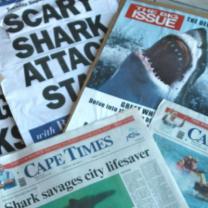 Eyewitness_shark_attack_241x208