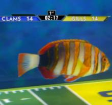 Fish_bowl_4_241x208