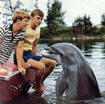 Flipper_1964_241x208