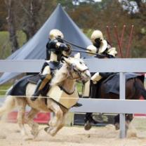 Full_metal_jousting_241x208