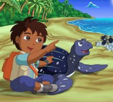 Go_diego_go_241x208