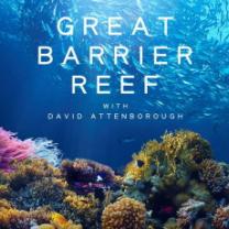 Great_barrier_reef_241x208