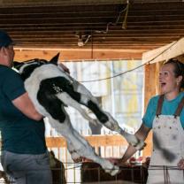 Hatcher_family_dairy_241x208