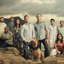 Hawaii_five_o_2010_season_9_241x208