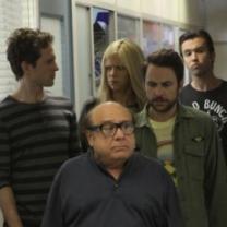 Its_always_sunny_in_philadelphia_season_8_241x208