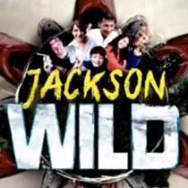 Jackson_wild_241x208