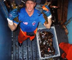 Lobstermen_jeopardy_at_sea_241x208