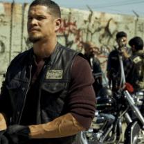 Mayans_mc_241x208