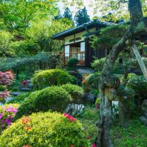 Monty_dons_japanese_gardens_241x208