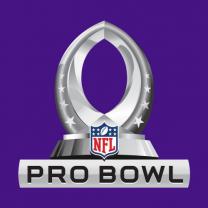 Nfl_pro_bowl_241x208