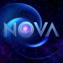 Nova_241x208