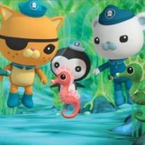 Octonauts_241x208