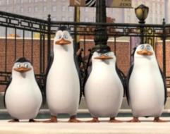 Penguins_of_madagascar_241x208