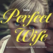 Perfect_wife_the_mysterious_disappearance_of_sherri_papini_241x208