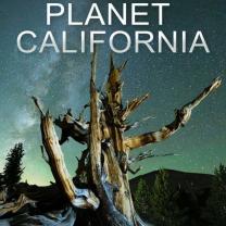 Planet_california_241x208