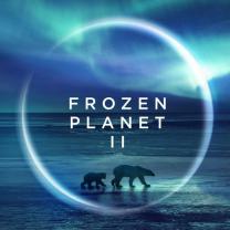 Planet_earth_frozen_planet_ii_241x208