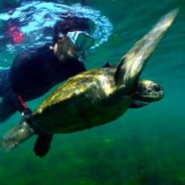 Planet_earth_mission_galapagos_241x208