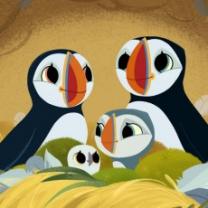 Puffin_rock_241x208