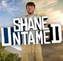 Shane_untamed_241x208