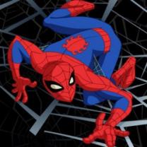 Spider_man_2008_241x208