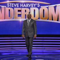 Steve_harveys_funderdome_241x208