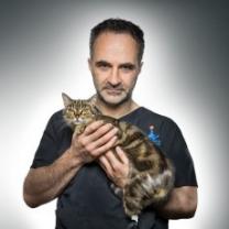 Supervet_241x208