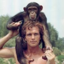 Tarzan_1966_241x208