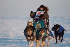 Toughest_race_on_earth_iditarod_241x208