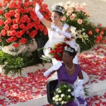 Tournament_of_roses_parade_241x208